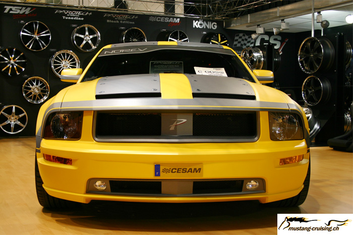 CESAM Ford Mustang 1
