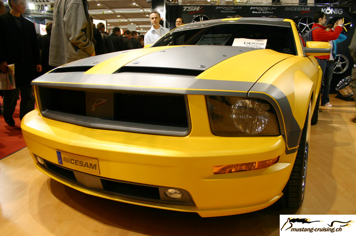 CESAM Ford Mustang 2
