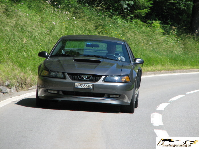 MustangCruising20070617_008.jpg