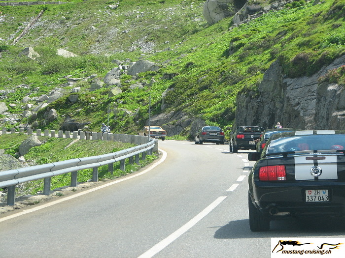 MustangCruising20070617_033.jpg