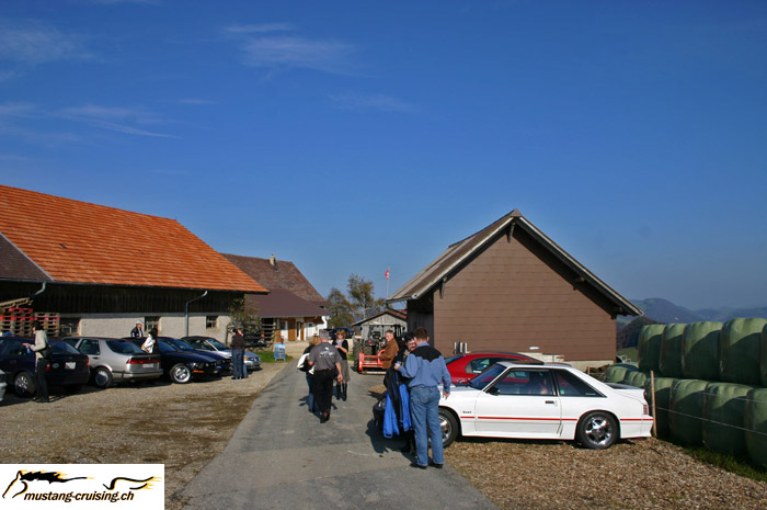 CRW_9485_JFR.jpg