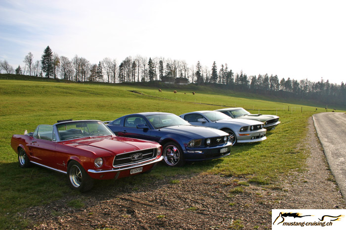 CRW_9501_JFR.jpg