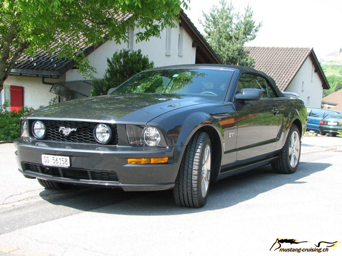 MyMustang-013.jpg