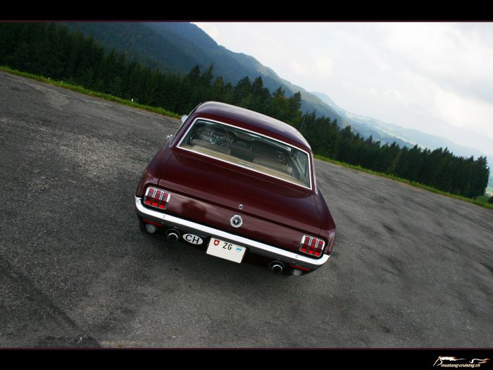 1965 Ford Mustang GT Coupe
Klicke auf das Bild, um es in Wallpapergrösse runterzuladen.

Foto: Jen
