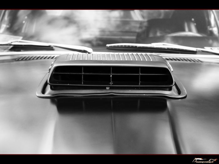 1969 Ford Mustang Mach1
Klicke auf das Bild, um es in Wallpapergrösse runterzuladen.

Foto: Jen
