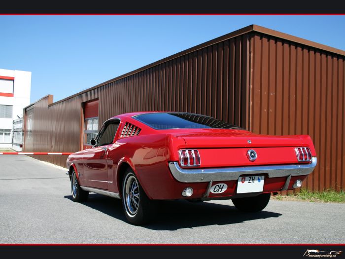 1966 Ford Mustang fastback
Klicke auf das Bild, um es in Wallpapergrösse runterzuladen.
