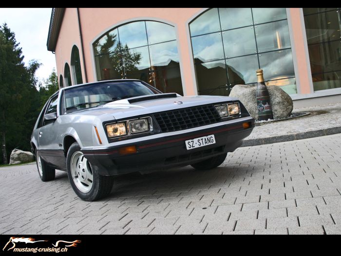 1979 Ford Mustang "Cobra" (1)
Klicke auf das Bild, um es in Wallpapergrösse runterzuladen.

Foto: Jen
