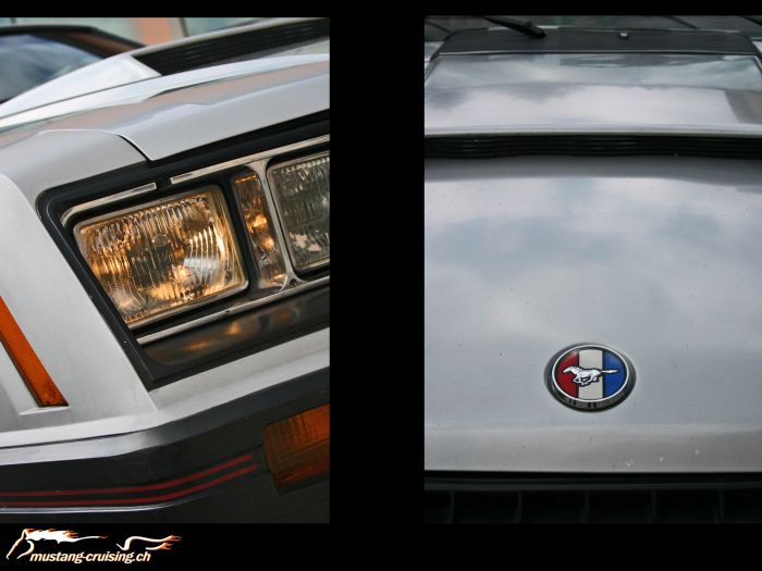 1979 Ford Mustang "Cobra" (3)
Klicke auf das Bild, um es in Wallpapergrösse runterzuladen.

Foto: Jen
