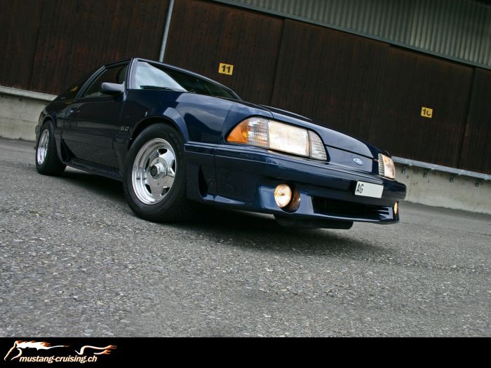 1991 Ford Mustang GT (1)
Klicke auf das Bild, um es in Wallpapergrösse runterzuladen.

Foto: Jen
