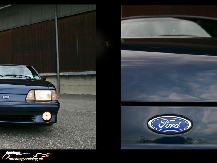 1991 Ford Mustang GT (3)
Klicke auf das Bild, um es in Wallpapergrösse runterzuladen.

Foto: Jen
