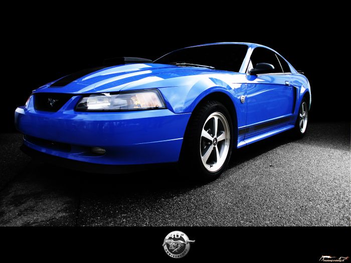 2004 Ford Mustang Mach1 40th anniversary
Klicke auf das Bild, um es in Wallpapergrösse runterzuladen.

Foto: Jen
