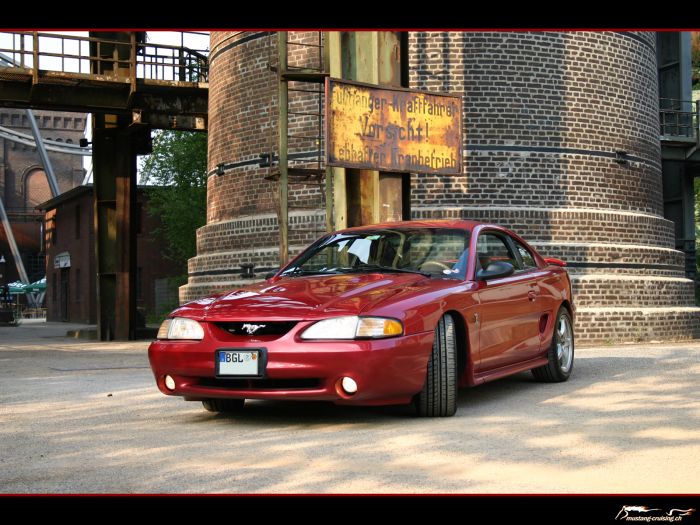 1998 Ford Mustang SVT Cobra
Klicke auf das Bild, um es in Wallpapergrösse runterzuladen.

Foto: Jen
