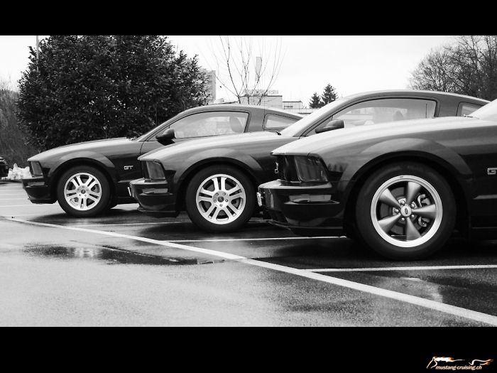 drei 2005 Ford Mustang GT black
Klicke auf das Bild, um es in Wallpapergrösse runterzuladen.

Foto: Jen
