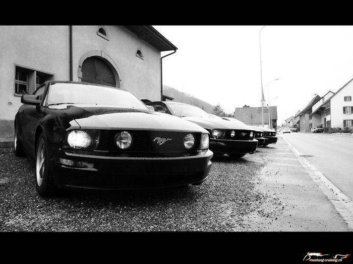 vier 2005 Ford Mustang GT black
Klicke auf das Bild, um es in Wallpapergrösse runterzuladen.

Foto: Jen
