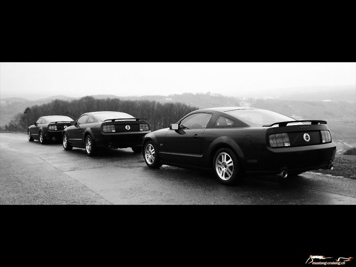 drei 2005 Ford Mustang GT black
Klicke auf das Bild, um es in Wallpapergrösse runterzuladen.

Foto: Jen
