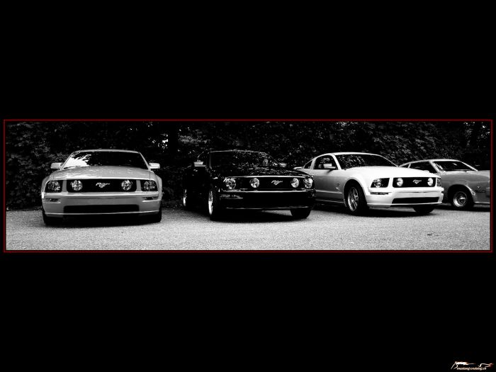 drei 2005 Ford Mustang GT
Klicke auf das Bild, um es in Wallpapergrösse runterzuladen.

Foto: Jen
