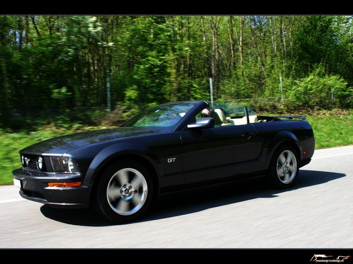 2007 Ford Mustang Convertible Alloy Grey
Klicke auf das Bild, um es in Wallpapergrösse runterzuladen.

Foto: Jen
