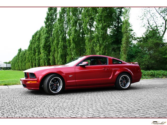 2006 Ford Mustang GT red fire
Klicke auf das Bild, um es in Wallpapergrösse runterzuladen.

Foto: Jen
