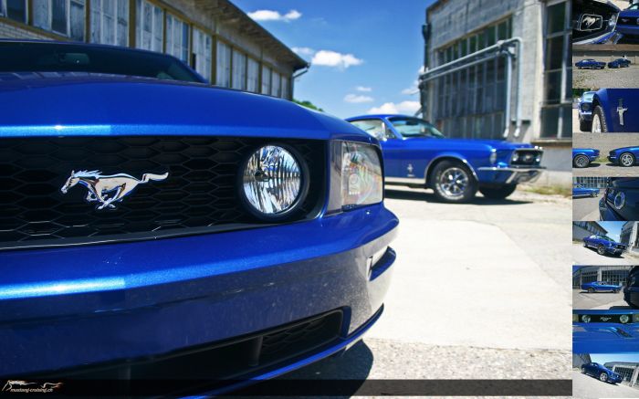 1967 Mustang Fastback und 2008 Mustang GT
Klicke auf das Bild, um es in Wallpapergrösse runterzuladen.

Foto: Jen
