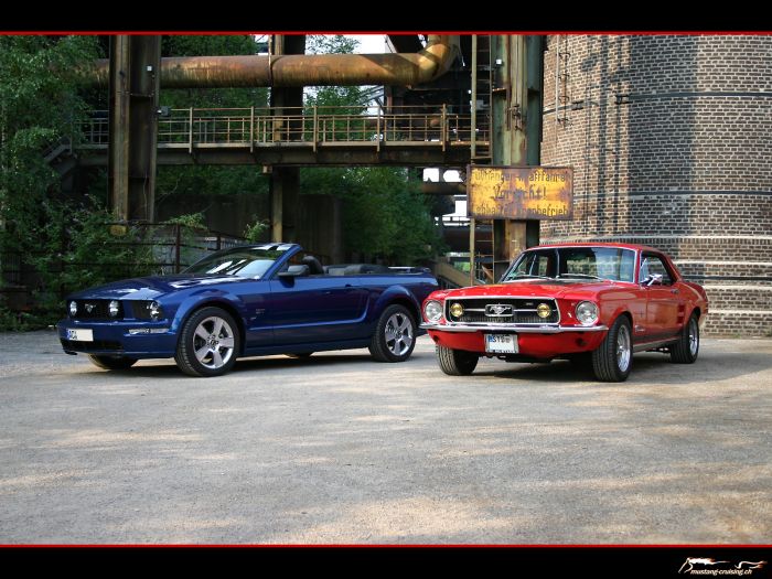 2006 Ford Mustang GT convertible + 1967 Ford Mustang coupe
Klicke auf das Bild, um es in Wallpapergrösse runterzuladen.

Foto: Jen
