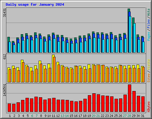 Daily usage for January 2024