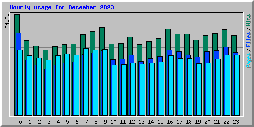 Hourly usage for December 2023
