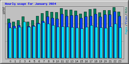 Hourly usage for January 2024