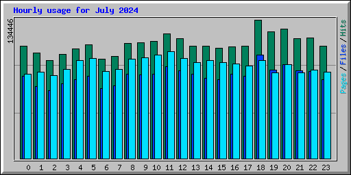 Hourly usage for July 2024