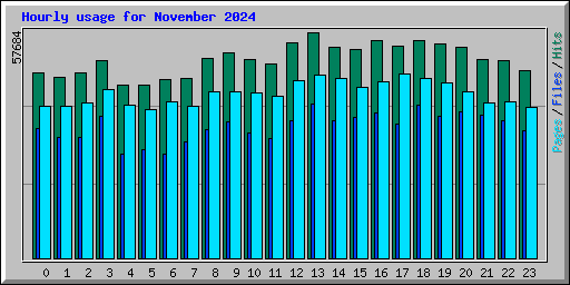 Hourly usage for November 2024