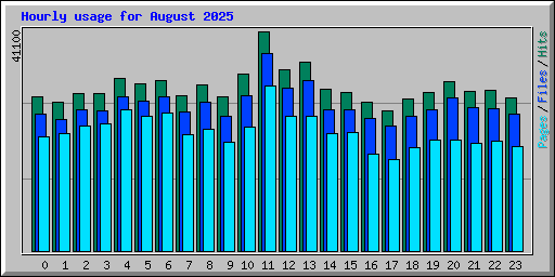 Hourly usage for August 2025