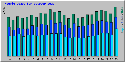 Hourly usage for October 2025