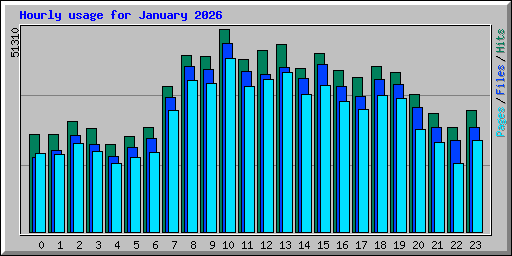 Hourly usage for January 2026